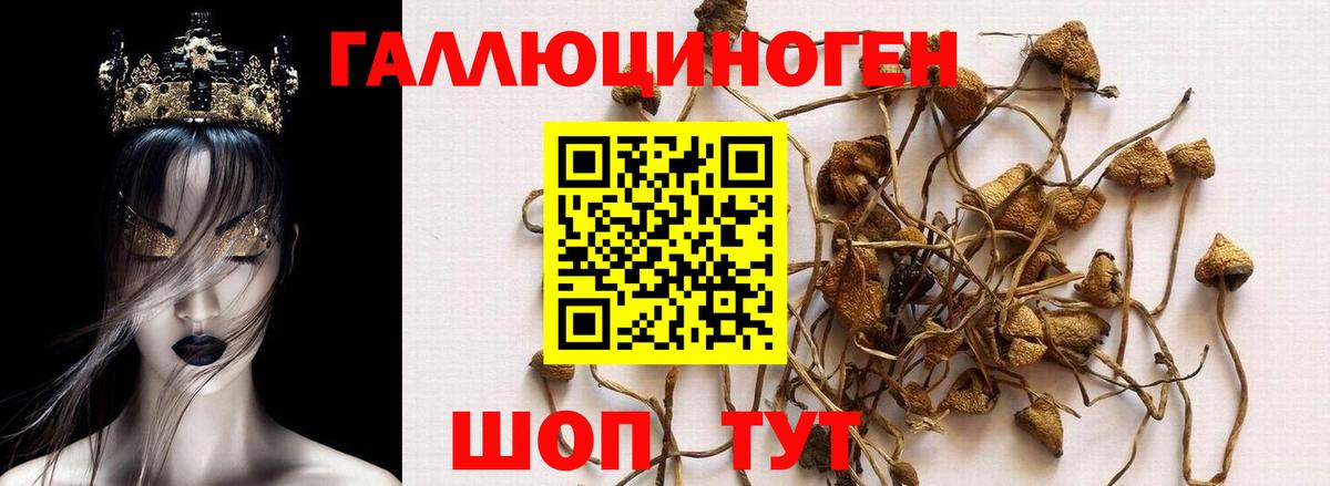 Галлюциногенные грибы Magic Shrooms  Вход с VPN  Галлюциногенные грибы мухоморы  Астрахань 